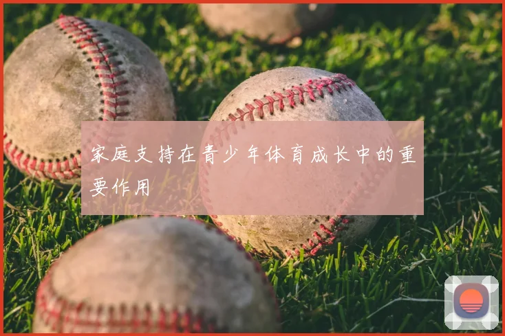 家庭支持在青少年体育成长中的重要作用